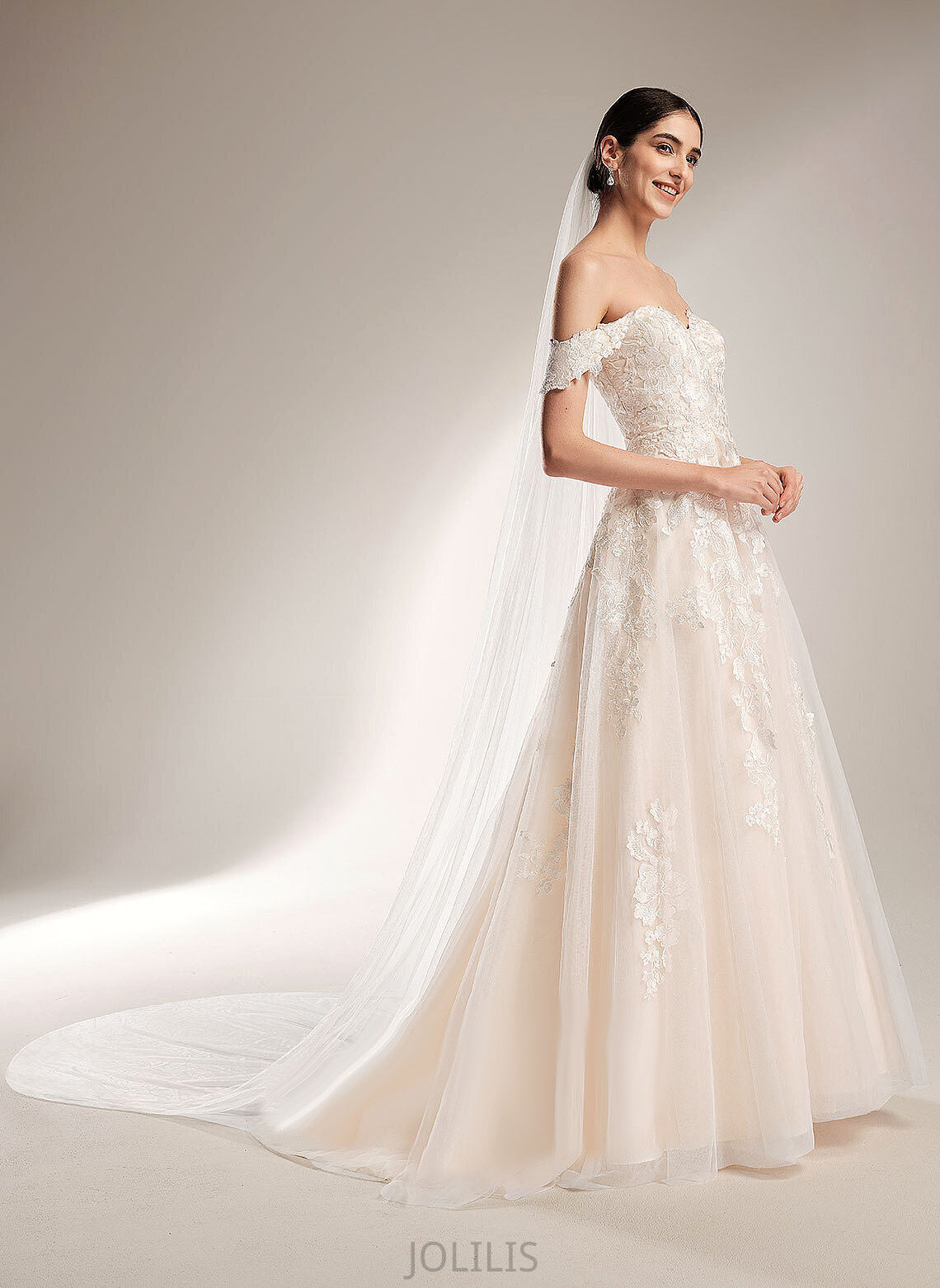 Wedding Dresses Chapel Dress Tulle Ball-Gown/Princess Wedding Train Paris Lace Off-the-Shoulder